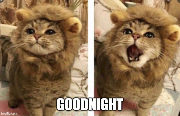Very cute | GOODNIGHT | image tagged in very cute | made w/ Imgflip meme maker