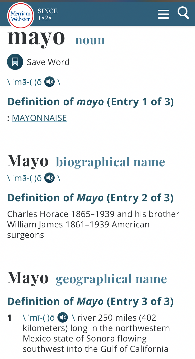 High Quality Merriam-Webster Mayo definition Blank Meme Template