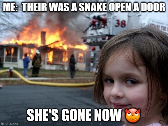 Is the true | ME:  THEIR WAS A SNAKE OPEN A DOOR; SHE'S GONE NOW 😈 | image tagged in memes,disaster girl | made w/ Imgflip meme maker