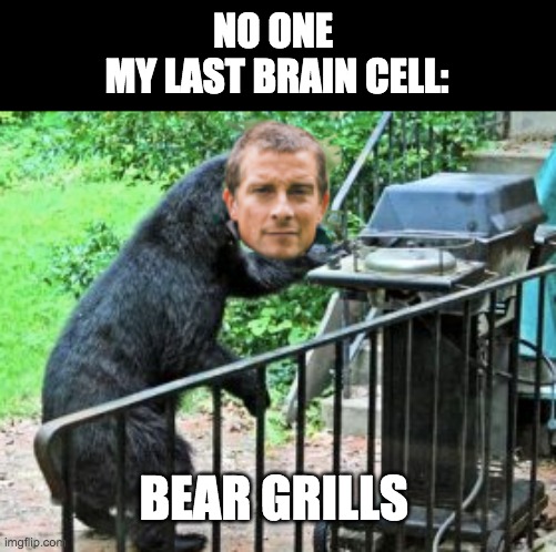 wish i found a better pic for it | NO ONE 
MY LAST BRAIN CELL:; BEAR GRILLS | image tagged in lol,memes,funny | made w/ Imgflip meme maker