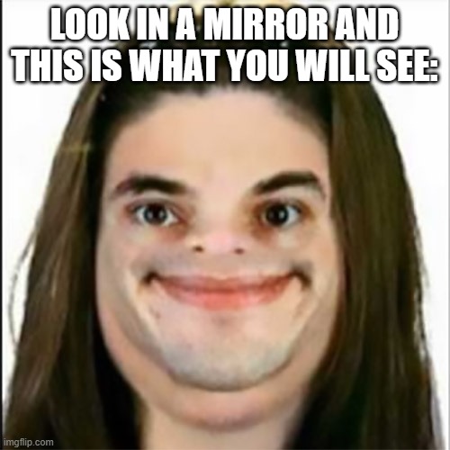 retarted face | LOOK IN A MIRROR AND THIS IS WHAT YOU WILL SEE: | image tagged in retarted face | made w/ Imgflip meme maker