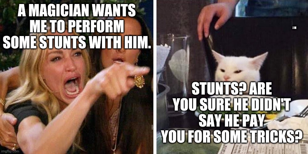Smudge the cat | A MAGICIAN WANTS ME TO PERFORM SOME STUNTS WITH HIM. J M; STUNTS? ARE YOU SURE HE DIDN'T SAY HE PAY YOU FOR SOME TRICKS? | image tagged in smudge the cat | made w/ Imgflip meme maker