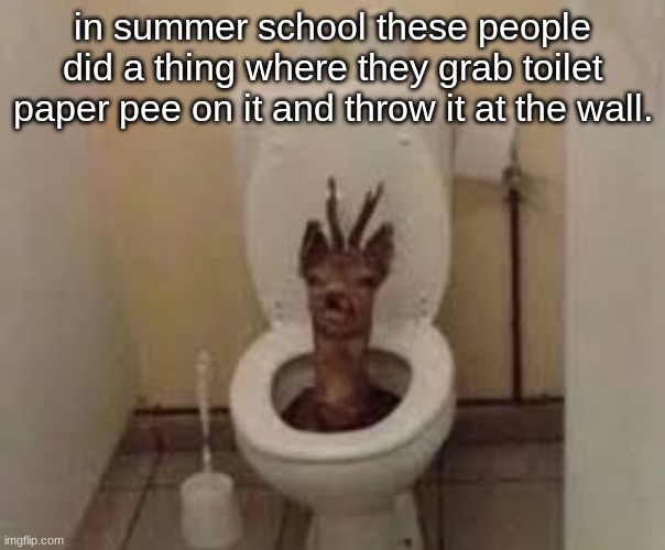 "thats messed up"- IRL friend | in summer school these people did a thing where they grab toilet paper pee on it and throw it at the wall. | made w/ Imgflip meme maker