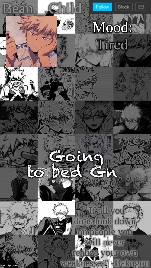 Tired; Going to bed Gn | image tagged in beanchild bakugou temp | made w/ Imgflip meme maker