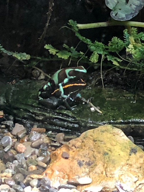 They were hugging :D | made w/ Imgflip meme maker