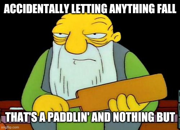 And that's why u gotta b careful with anything that happens | ACCIDENTALLY LETTING ANYTHING FALL; THAT'S A PADDLIN' AND NOTHING BUT | image tagged in memes,that's a paddlin',truth | made w/ Imgflip meme maker