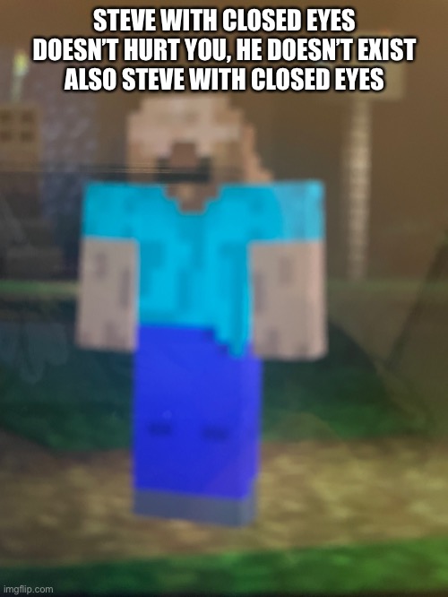 STEVE WITH CLOSED EYES DOESN’T HURT YOU, HE DOESN’T EXIST
ALSO STEVE WITH CLOSED EYES | made w/ Imgflip meme maker