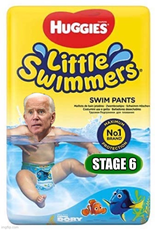 When Little Joey goes swimming, he has to wear swim pants these days… | STAGE 6 | image tagged in biden,stage 6,diapers,little swimmers,ConservativeMemes | made w/ Imgflip meme maker