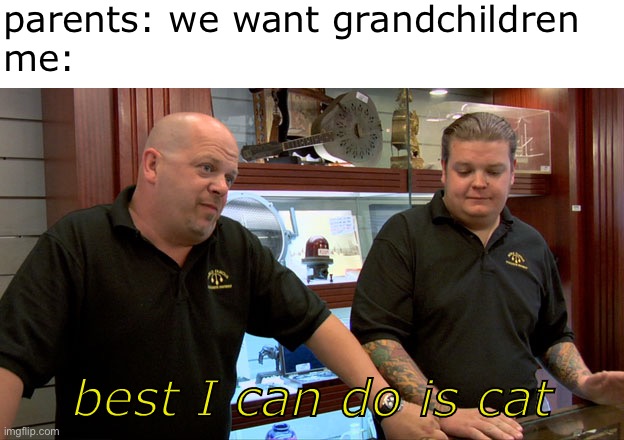 No Grandchildren | parents: we want grandchildren 
me:; best I can do is cat | image tagged in pawn stars best i can do,grandma,grandchildren,memes | made w/ Imgflip meme maker
