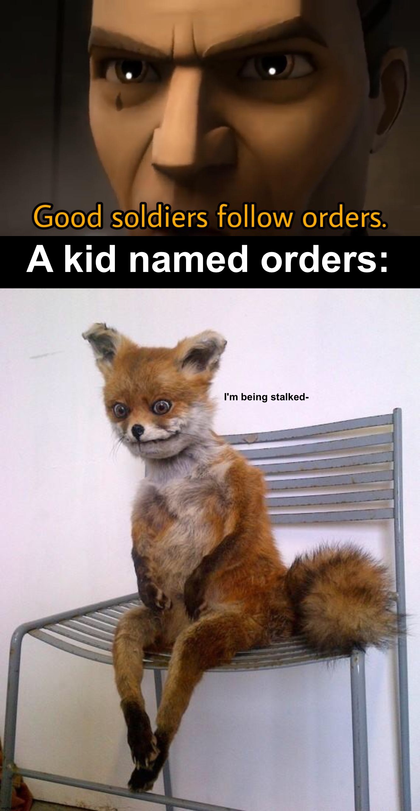 E |  A kid named orders:; I'm being stalked- | image tagged in good soldiers follow orders,stoned fox,memes,funny,funny memes,creepy | made w/ Imgflip meme maker
