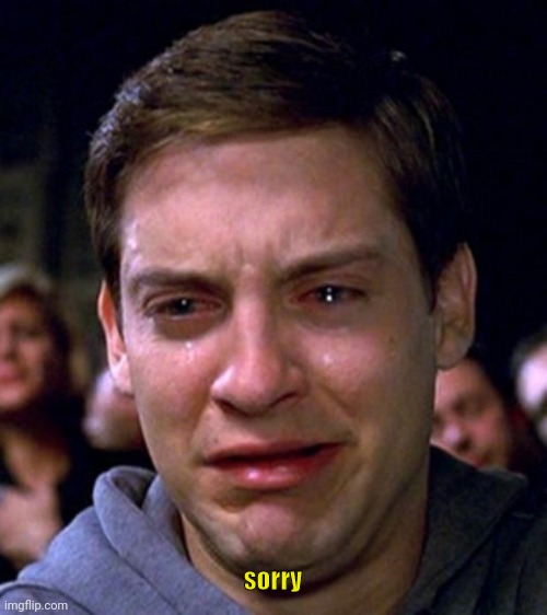crying peter parker | sorry | image tagged in crying peter parker | made w/ Imgflip meme maker