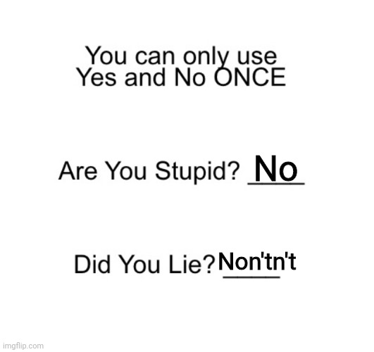 No; Non'tn't | image tagged in are you stupid | made w/ Imgflip meme maker