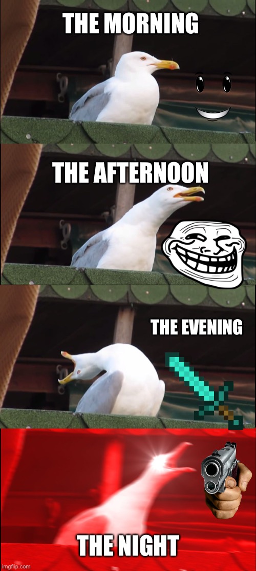 Inhaling Seagull | THE MORNING; THE AFTERNOON; THE EVENING; THE NIGHT | image tagged in memes,inhaling seagull | made w/ Imgflip meme maker
