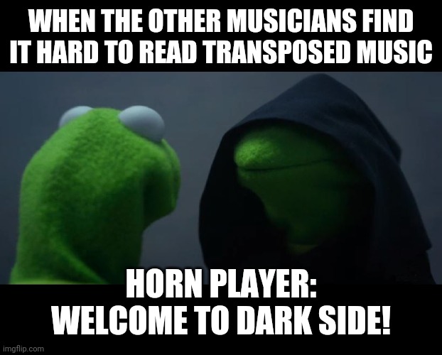 Transposed Music | WHEN THE OTHER MUSICIANS FIND IT HARD TO READ TRANSPOSED MUSIC; HORN PLAYER:
WELCOME TO DARK SIDE! | image tagged in evil kermit meme | made w/ Imgflip meme maker