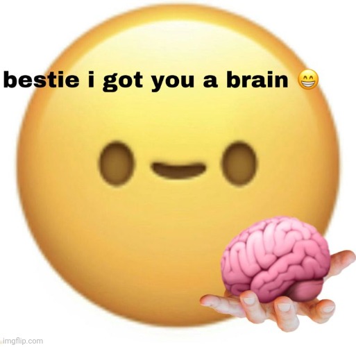 Bestie I got you a brain | image tagged in bestie i got you a brain | made w/ Imgflip meme maker