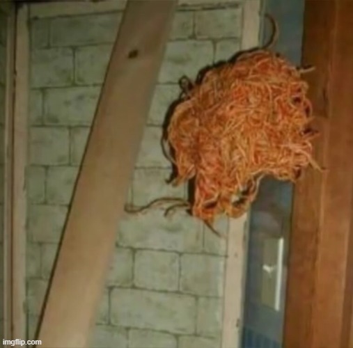 what da spaghetti doin | image tagged in cursed image,spaghetti | made w/ Imgflip meme maker