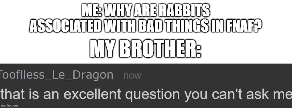 why??? | ME: WHY ARE RABBITS ASSOCIATED WITH BAD THINGS IN FNAF? MY BROTHER: | image tagged in that is an excellent question you can't ask me | made w/ Imgflip meme maker