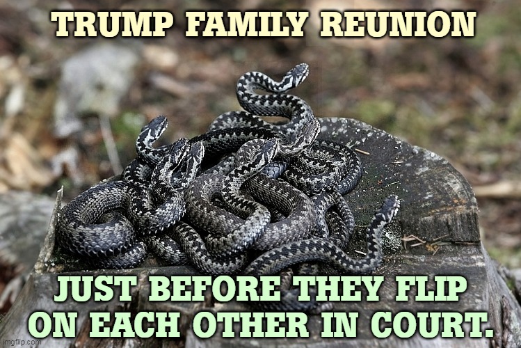 The Original Trump Nest of Vipers | TRUMP FAMILY REUNION; JUST BEFORE THEY FLIP ON EACH OTHER IN COURT. | image tagged in trump,family,snakes | made w/ Imgflip meme maker