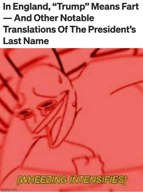 Trump = Fart | image tagged in wheeze | made w/ Imgflip meme maker