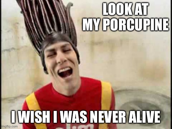 SlimJim guy is not looking good today | LOOK AT MY PORCUPINE; I WISH I WAS NEVER ALIVE | image tagged in slim jim guy | made w/ Imgflip meme maker