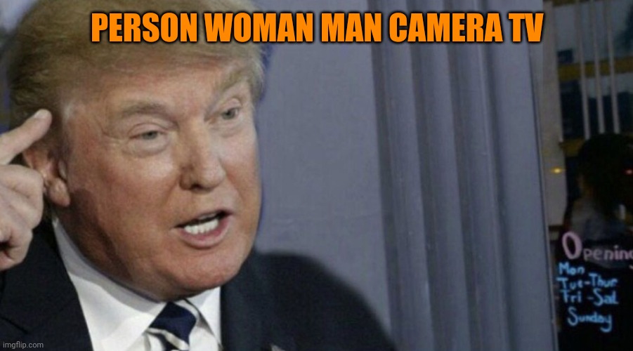 Trump Roll Safe | PERSON WOMAN MAN CAMERA TV | image tagged in trump roll safe | made w/ Imgflip meme maker