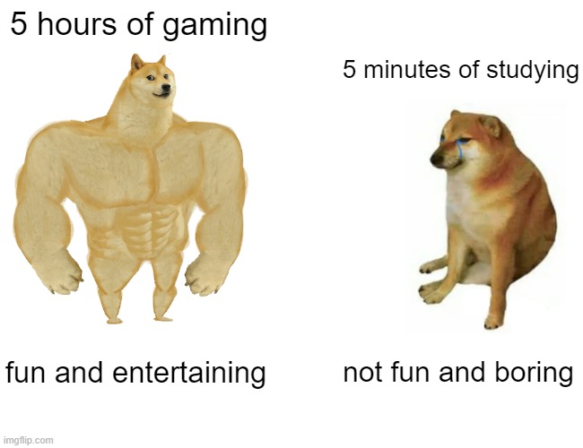 free myrobalan | 5 hours of gaming; 5 minutes of studying; fun and entertaining; not fun and boring | image tagged in memes,buff doge vs cheems | made w/ Imgflip meme maker