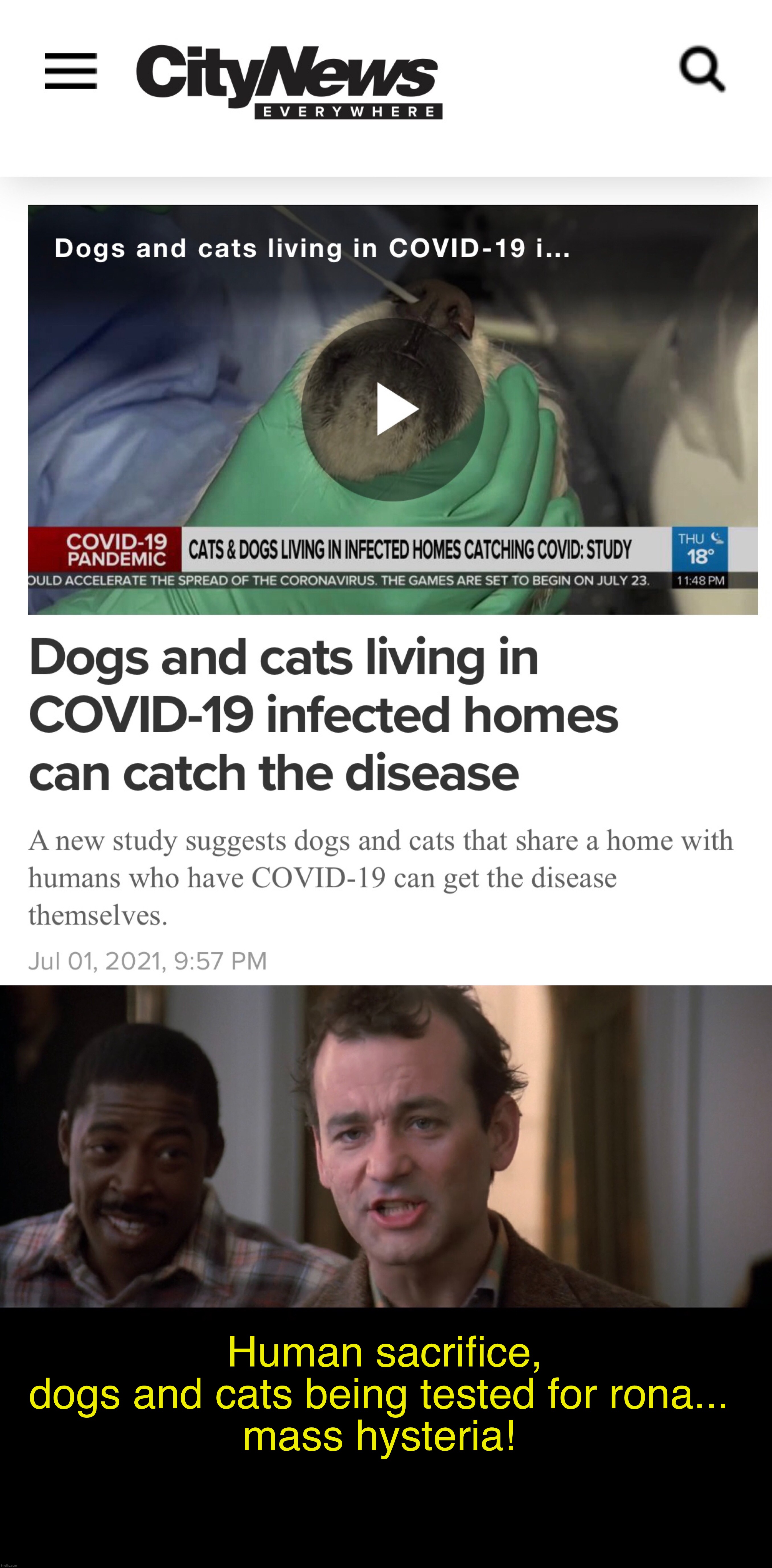 Mass corona hysteria! | Human sacrifice,
dogs and cats being tested for rona... 
mass hysteria! | image tagged in ghostbusters,coronavirus,china virus,breaking news,canada,covid-19 | made w/ Imgflip meme maker