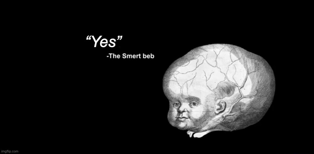 The smert beb | “Yes” | image tagged in the smert beb | made w/ Imgflip meme maker