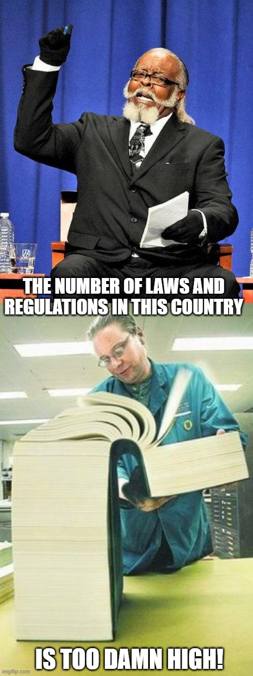 THE NUMBER OF LAWS AND REGULATIONS IN THIS COUNTRY IS TOO DAMN HIGH! | image tagged in too high | made w/ Imgflip meme maker