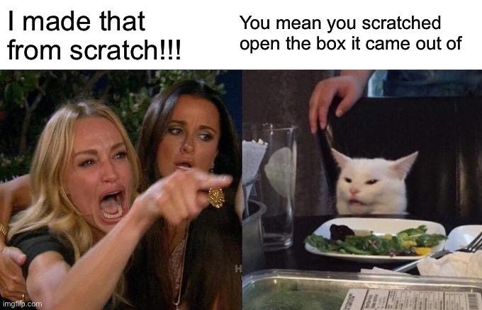 Scratch | You mean you scratched open the box it came out of; I made that from scratch!!! | image tagged in memes,woman yelling at cat | made w/ Imgflip meme maker