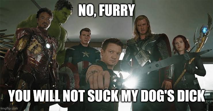 NO, FURRY; YOU WILL NOT SUCK MY DOG'S DICK | image tagged in furry,anti furry,memes | made w/ Imgflip meme maker