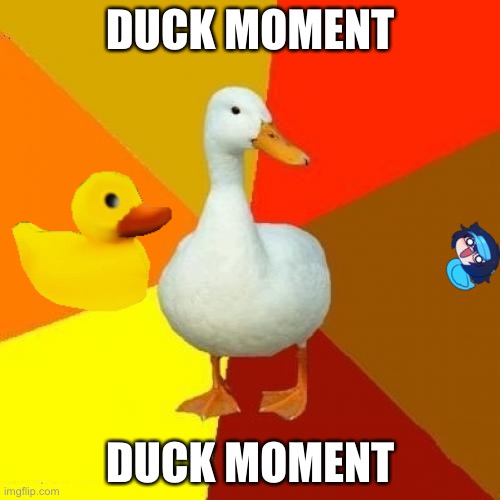 Duck moment | DUCK MOMENT; DUCK MOMENT | image tagged in memes,tech impaired duck,ducks | made w/ Imgflip meme maker
