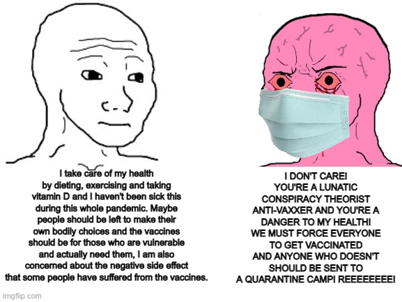 I don't see why having basic safety concerns about vaccines should be a controversial issue | I DON'T CARE! YOU'RE A LUNATIC CONSPIRACY THEORIST ANTI-VAXXER AND YOU'RE A DANGER TO MY HEALTH! WE MUST FORCE EVERYONE TO GET VACCINATED AND ANYONE WHO DOESN'T SHOULD BE SENT TO A QUARANTINE CAMP! REEEEEEEE! I take care of my health by dieting, exercising and taking vitamin D and I haven't been sick this during this whole pandemic. Maybe people should be left to make their own bodily choices and the vaccines should be for those who are vulnerable and actually need them, I am also concerned about the negative side effect that some people have suffered from the vaccines. | image tagged in blank white template,vaccines | made w/ Imgflip meme maker