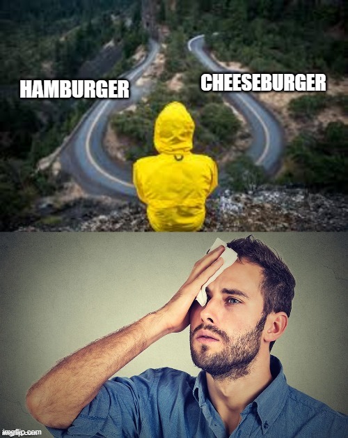 Choose wisely | CHEESEBURGER; HAMBURGER | image tagged in choose wisely | made w/ Imgflip meme maker