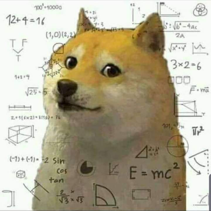 High Quality Confused doge Blank Meme Template
