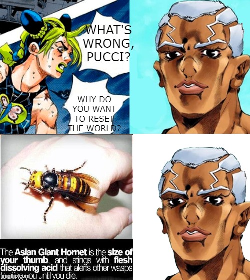 Hornets Deserve to die | WHAT'S WRONG, PUCCI? WHY DO YOU WANT TO RESET THE WORLD? The Asian Giant Hornet is the size of you thumb, and stings with flesh dissolving acid that alerts other wasps  to sting until you die. | image tagged in jojo,jojo's bizarre adventure,hornet,pucci,wasp,memes | made w/ Imgflip meme maker