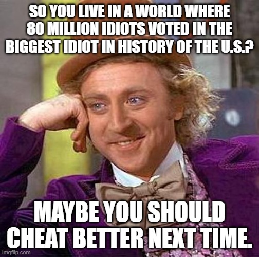 Creepy Condescending Wonka | SO YOU LIVE IN A WORLD WHERE 80 MILLION IDIOTS VOTED IN THE BIGGEST IDIOT IN HISTORY OF THE U.S.? MAYBE YOU SHOULD CHEAT BETTER NEXT TIME. | image tagged in memes,creepy condescending wonka | made w/ Imgflip meme maker