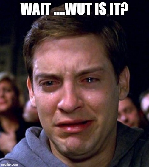 crying peter parker | WAIT ....WUT IS IT? | image tagged in crying peter parker | made w/ Imgflip meme maker