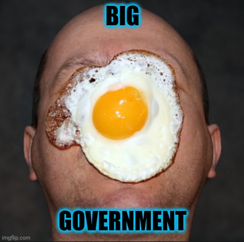 Egg on face | BIG GOVERNMENT | image tagged in egg on face | made w/ Imgflip meme maker