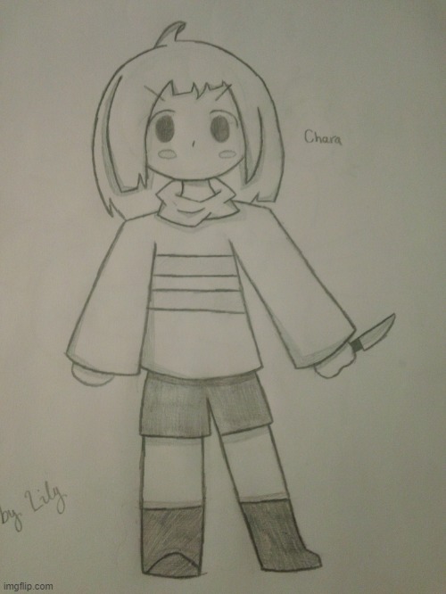 Drawing of Chara | made w/ Imgflip meme maker