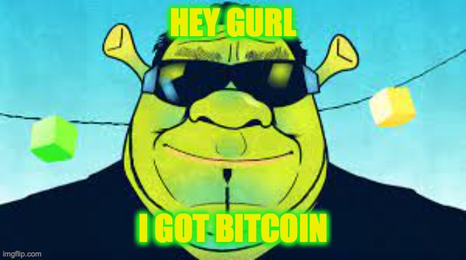 lol idk |  HEY GURL; I GOT BITCOIN | image tagged in shrek,bitcoin,hey girl | made w/ Imgflip meme maker