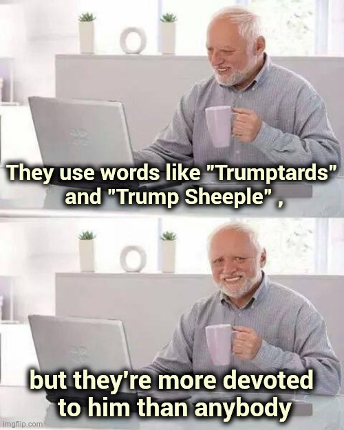 TDS is a real problem | They use words like "Trumptards"
 and "Trump Sheeple" , but they're more devoted
 to him than anybody | image tagged in memes,hide the pain harold,trump derangement syndrome,not my president,get over it,party of hate | made w/ Imgflip meme maker