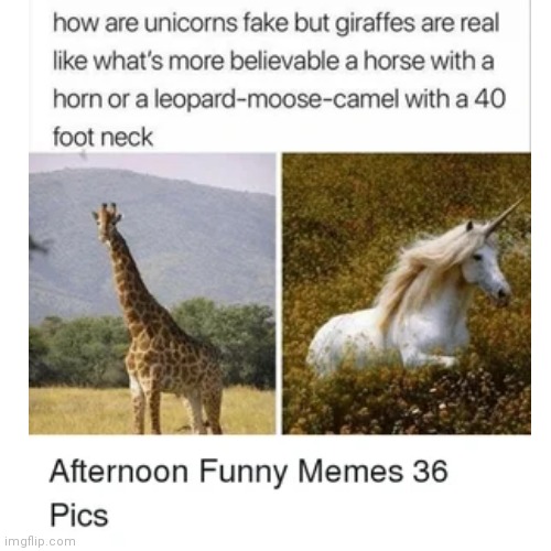 Probably a repost sorry | image tagged in meme,giraffe | made w/ Imgflip meme maker