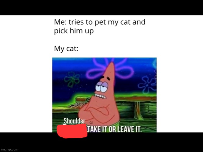 Yeet | image tagged in cats | made w/ Imgflip meme maker