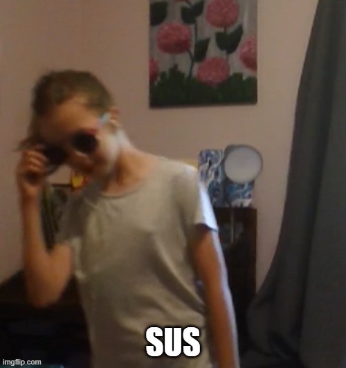 Aria ate le cookies | image tagged in lily sus | made w/ Imgflip meme maker