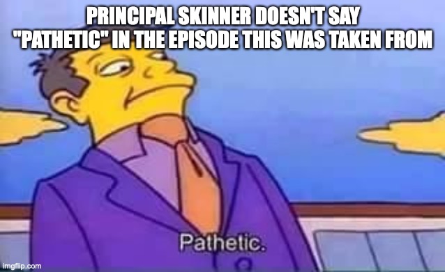 he wasn't saying pathetic | PRINCIPAL SKINNER DOESN'T SAY "PATHETIC" IN THE EPISODE THIS WAS TAKEN FROM | image tagged in skinner pathetic | made w/ Imgflip meme maker