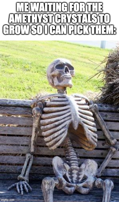 lol | ME WAITING FOR THE AMETHYST CRYSTALS TO GROW SO I CAN PICK THEM: | image tagged in memes,waiting skeleton | made w/ Imgflip meme maker