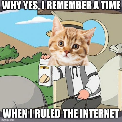 Cat nation | WHY YES, I REMEMBER A TIME; WHEN I RULED THE INTERNET | image tagged in memes,pepperidge farm remembers | made w/ Imgflip meme maker
