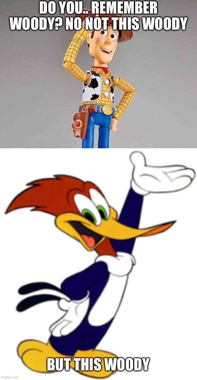 DO YOU.. REMEMBER WOODY? NO NOT THIS WOODY; BUT THIS WOODY | made w/ Imgflip meme maker
