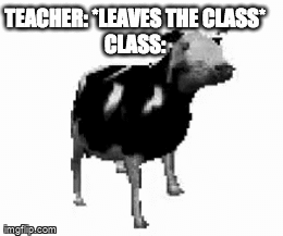The class be like - Imgflip